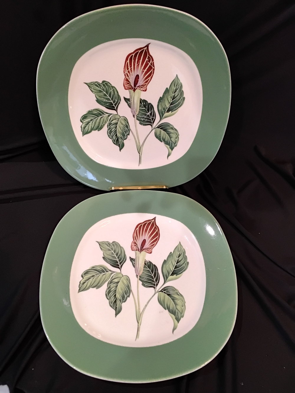 Botanical Green Rim Ceramic Dinner Plates - Set of 2